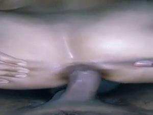 artofzoo: blurring animal desire lines