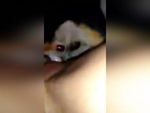 Discover an Intimate Moment with a Dog