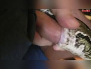Extreme Bestiality: A Woman and a Snake