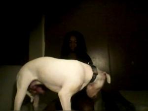 Dog Sex Video: An Extreme Experience