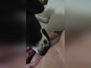 Slut slut whore lesbian lesbian lesbian woman lesbian ...