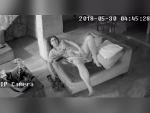 Extreme Tiererlebnisse: Wo Verlangen und Ubertretung aufeinandertreffen