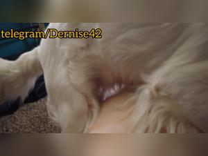 Hundedominanz, verbotenes Vergnugen - Entdecken Sie die dunkle Seite des Verlangens.