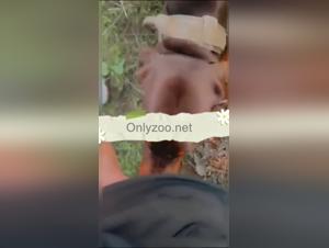 Potenza grezza, desiderio animale: esperienza sesso estremo del cane