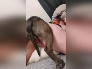 Intense and Shocking Moments