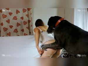 The Asian Woman Pursues the Blonde and Takes her Dog by Storm