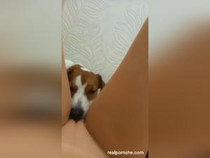 Soddisfazione selvaggia: fusione di cane e umano
