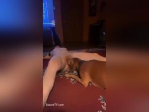 Watch this girl and her dog in a shocking beast sex video.