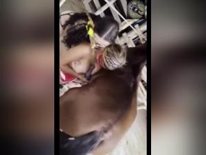 Extreme sex video with a horse
