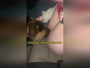 Pornfay & Exploiting the Art of Zoo