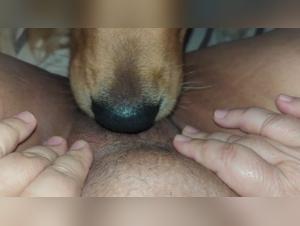 Discover Sex Videos with Dogs