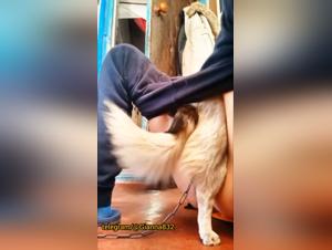 Brute Animal Fuck: Cum Drips in Her Deep Hole