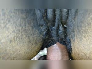 zoo tubes, explore the forbidden