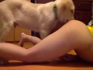 Shocking dog sex video