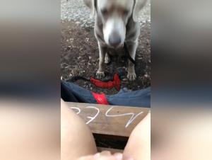 A Bestial and Exciting Experience