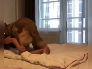 Best Zoophilia Sex Videos with Dog