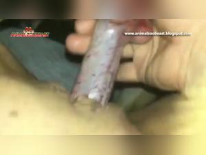 Extreme Bestiality Action with Hot Milfs and Women