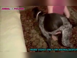 Zoophilia video with a slut and her dog