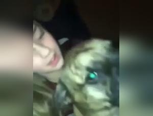 Sex video with a dog: a unique adventure
