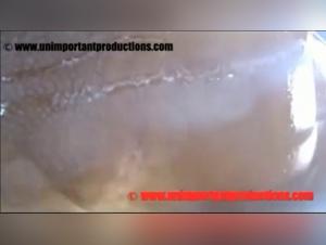 A beastly and exciting experience with Luna