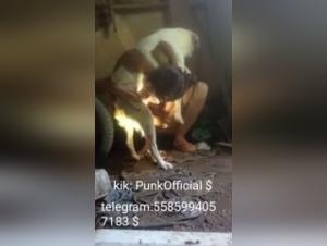 Amateur hardcore bestiality videos