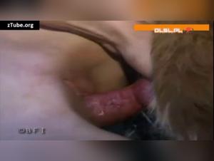 Extreme sex scene with a dog