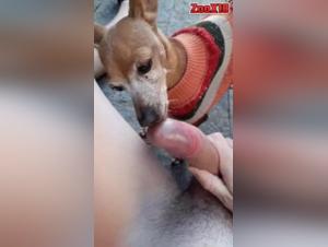 Watch this dog sex video and dog sex videos
