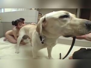 Check out the porn star in an extreme bestiality scene