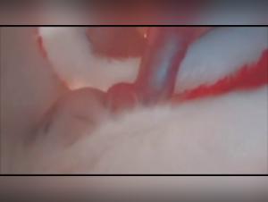 Extreme Bestiality: Watch this 18 Year Old Girl Fucking with a Dog