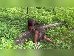 dirtydoglinks new beastiality