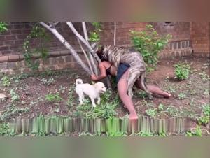 Female F*cking Dogs: A Selection of the Most Exotic and Thrilling Zoophile Porn Videos