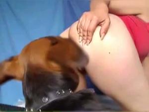 Bestiality Sex Video - Webcam Dog Sex
