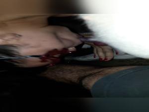 animal porno dogpunk