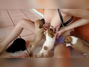Zoophilia bestiality sex video: check out this woman and her dog