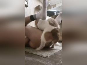 Zoophilia scene: A man and his dog in a disturbing video