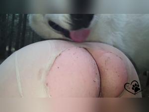 Dogsex and Taboo Fantasies Revealed