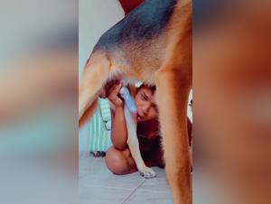 Soddisfazione bruta, dominio K9