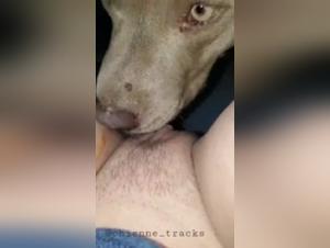 Zoophilia Video: Woman and Dog