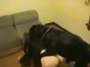 An Unexpected Encounter: A Woman in Leather and Her Dog