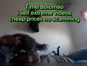 Domination and humiliation in an extreme bestiality video