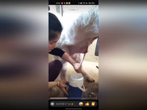 Cumshot China Girl: Grosses feuriges Schwein