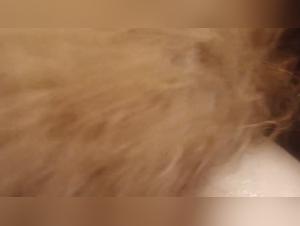 A unique experience of its kind