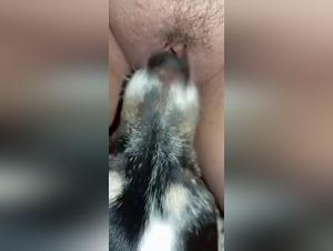 Schlampen und ihre Hunde: Extremes Vergnugen