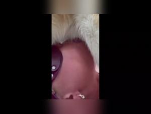 The Taboo World of Bestiality Exposed