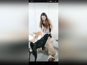 Sex with Dog: Live an Extreme Experience