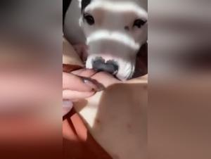 Extreme Bestiality Scene with a Dog