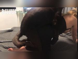 Bitch at the Zoo: Pussy with a Trunk