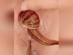 Explore the limits of extreme sex with ArtofZoo