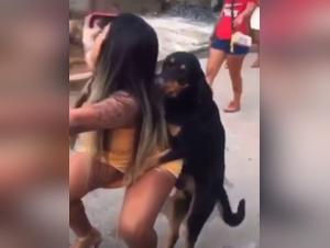 Zoophilic practices: a woman and her dog in sexual lovemaking