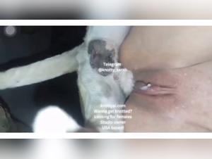 nœud serré, désir animal insatiable